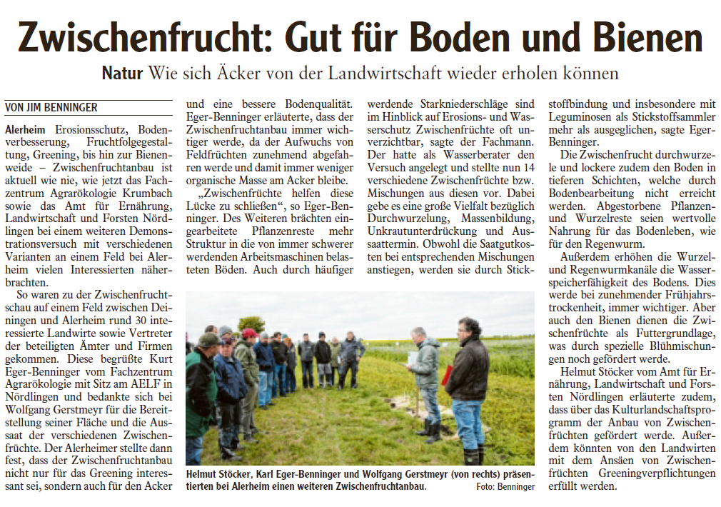 Zeitungsartikel Zwischenfrucht: Gut für Boden und Bienen