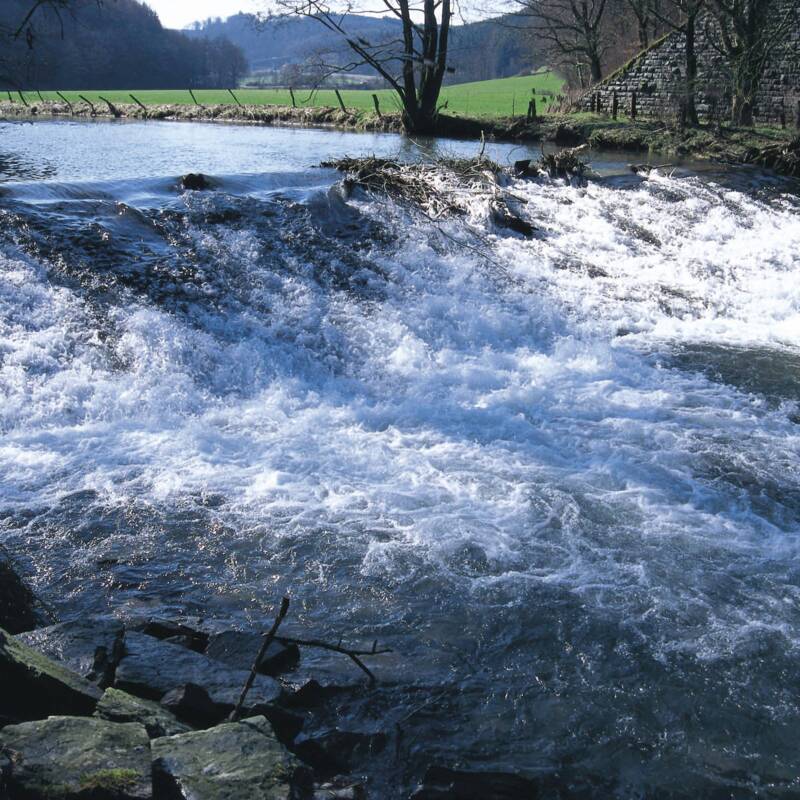 Bild Wasser und Steine